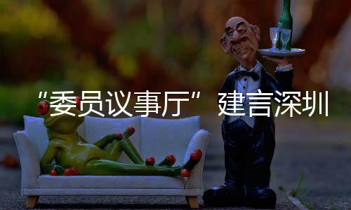 推向C东品牌委圳时全球员议言深业 建借A事厅尚产深圳风把