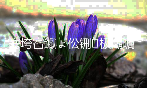 标配定调线微软B内官方B仅是W算底存才